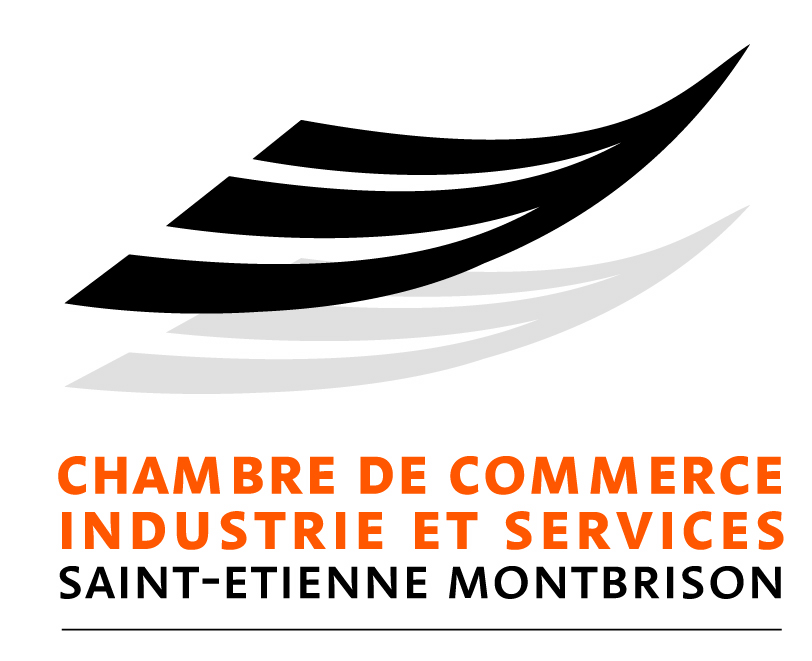 Rencontres Rgionales de la E-Entreprise  - Saint-Etienne Montbrison